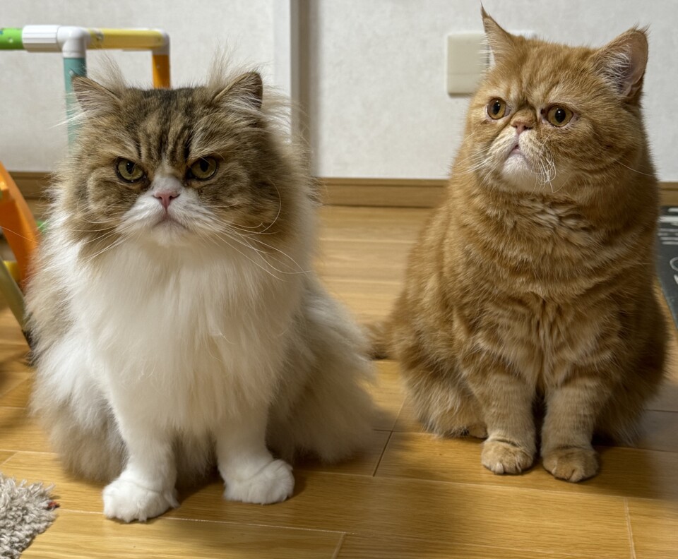 小松