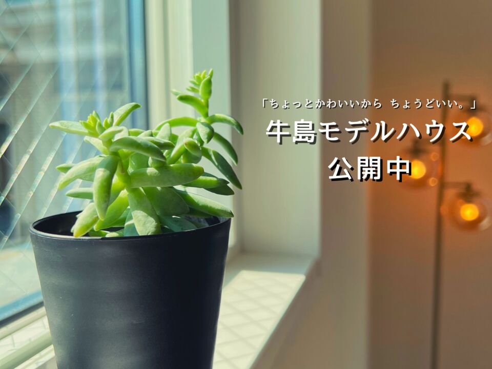 牛島モデルハウス好評公開中！